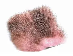 American Opossum Pink FutureFly