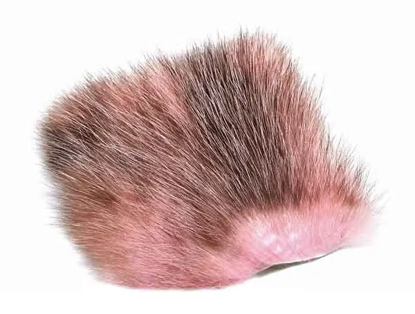 American Opossum Pink FutureFly 