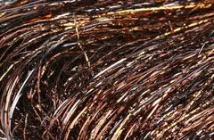 FF Star Flash Copper Brown FutureFly