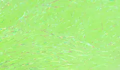 FF Predator Flash Fl. Chartreuse FutureFly