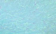 FF Predator Flash Ice blue FutureFly