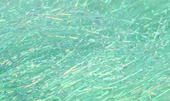 FF Predator Flash Teal FutureFly