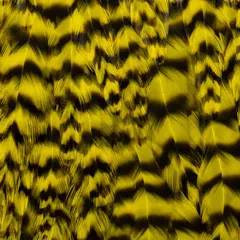 FF Freshwater Rooster saddle Yellow FutureFly Grizzly hanenakke