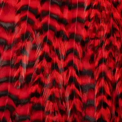 FF Freshwater Rooster saddle Red FutureFly Grizzly hanenakke