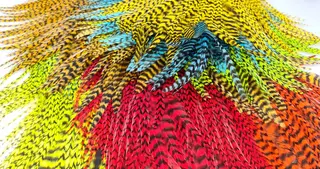 FF Freshwater Rooster saddle Grizzly FutureFly Grizzly hanenakke