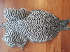 FF Rooster Cape Grizzly