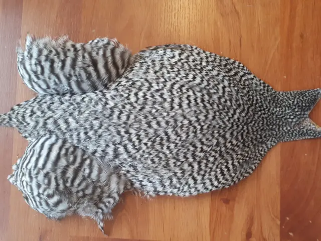 FF Rooster Cape Grizzly 