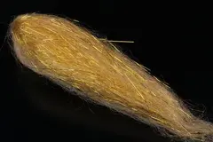 FF Polar Flash - Tan FutureFly