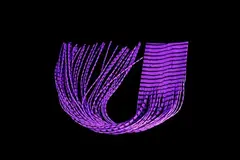 Round Rubberlegs - Purple/Black FutureFly