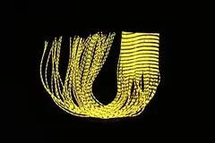 Round Rubberlegs - Yellow/Black FutureFly