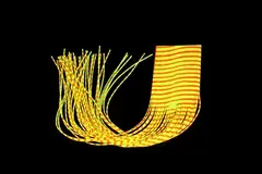 Round Rubberlegs - Yellow/Orange/Green FutureFly