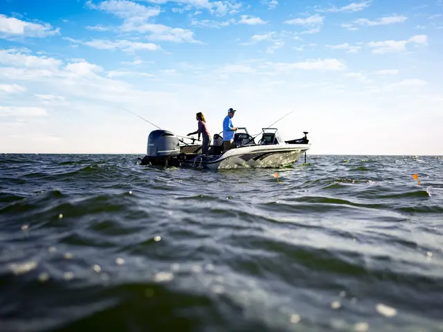 Garmin LiveScope XR system Med GLS 10™ og LVS62-svinger 