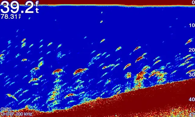 Garmin ECHOMAP™ Plus 42cv CHIRP & CHIRP ClearVü 
