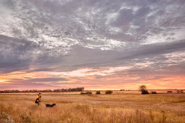 Garmin Alpha 10 Bli med på jakten med håndholdt enhet 