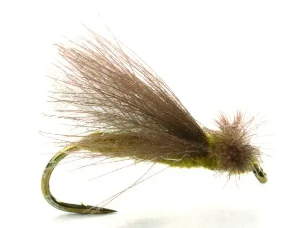 Cdc Caddis Adult Olive #14 Kjøp 12 fluer få gratis flueboks 