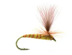 Ignita #16 Kj&#248;p 12 fluer f&#229; gratis flueboks