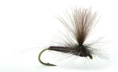 Vespertina #14 Kj&#248;p 12 fluer f&#229; gratis flueboks