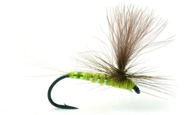 Olive Flash #15 Kjøp 12 fluer få gratis flueboks 