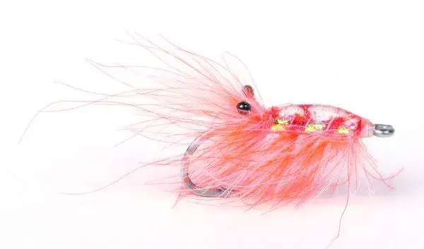 Runar's CdC Reke Orange #6 Kvalitetsfluer fra kjente leverandører 