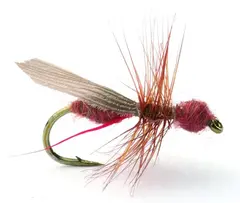 Flying Ant Cinnamon #16 Kj&#248;p 12 fluer f&#229; gratis flueboks