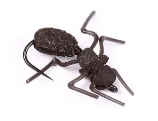 Ant Misbehavin Logans Kj&#248;p 12 fluer f&#229; gratis flueboks