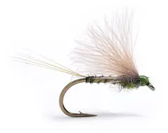Cdc Biot Dun Emerger Dark Olive #18 Kj&#248;p 12 fluer f&#229; gratis flueboks