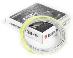 Guideline 4 Cast+ WF #4