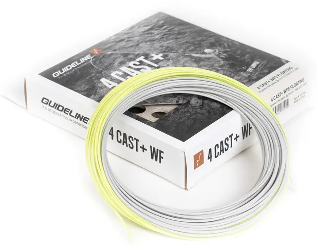 Guideline 4 Cast+ WF #4 