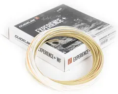 Guideline Experience+ WF #4