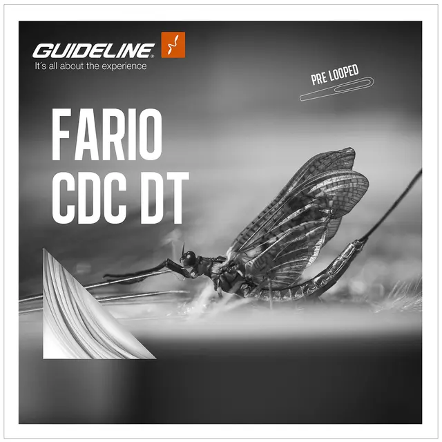 Guideline Fario CDC DT #2 