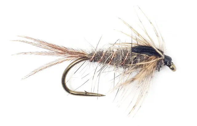 Guideline Squirrel Nymph #12 Kjøp 12 fluer få gratis flueboks 