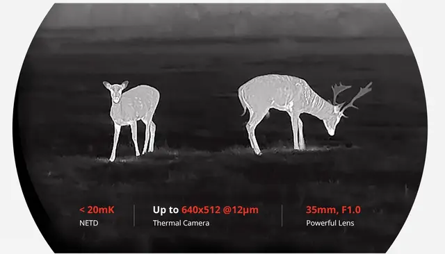 Hikmicro Habrok HH35L Digital termisk binokular kikkert 