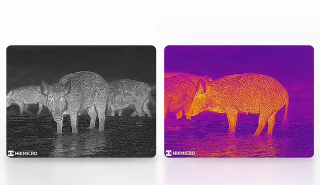 Hikmicro Raptor RQ50LN 940nm Termisk binokulær kikkert med IR 