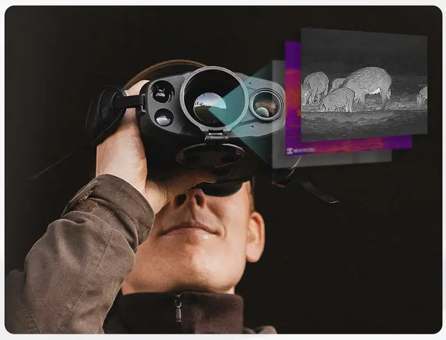 Hikmicro Raptor RQ50LN 940nm Termisk binokulær kikkert med IR 