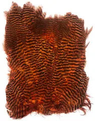 Softhackle patch Grizzly Burnt Orange