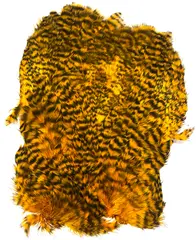 Softhackle patch Grizzly Sunburst