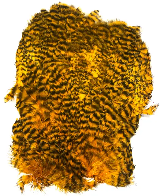 Softhackle patch Grizzly Sunburst 