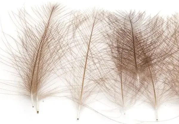 Marc Petitjean CDC 1g - Beige 