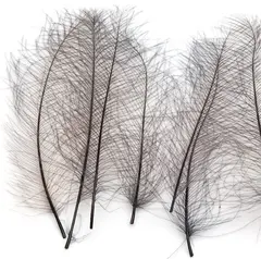 Marc Petitjean CDC 1g - Bistre