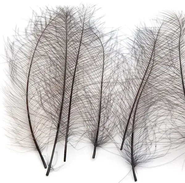 Marc Petitjean CDC 1g - Bistre 