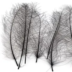 Marc Petitjean CDC 1g - Black (Dyed)