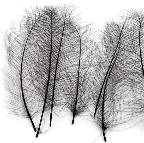 Marc Petitjean CDC 1g - Black (Dyed) 