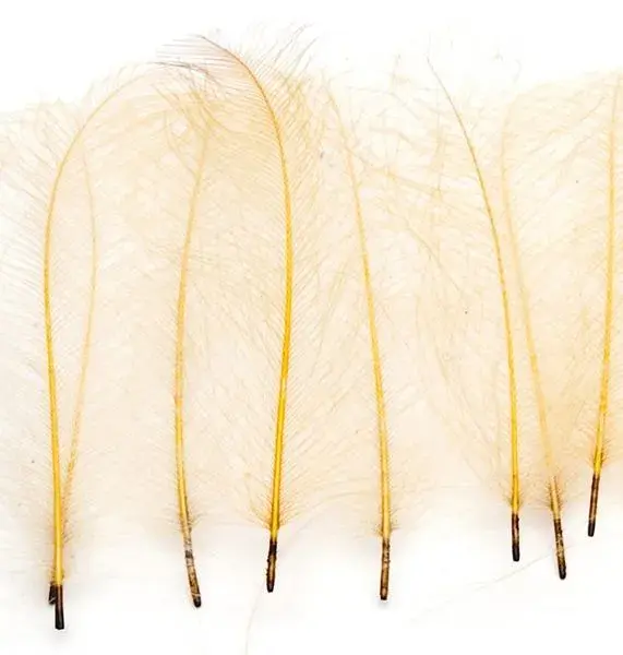 Marc Petitjean CDC 1g - Cream 