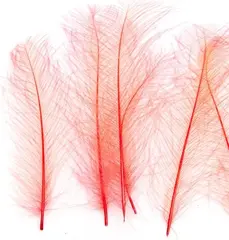 Marc Petitjean CDC 1g - Fluo Red