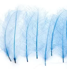 Marc Petitjean CDC 1g - Fluo Blue