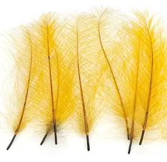 Marc Petitjean CDC 1g - Yellow (Old)