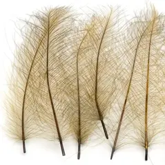 Marc Petitjean CDC 1g - Olive