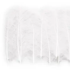 Marc Petitjean CDC 1g - White