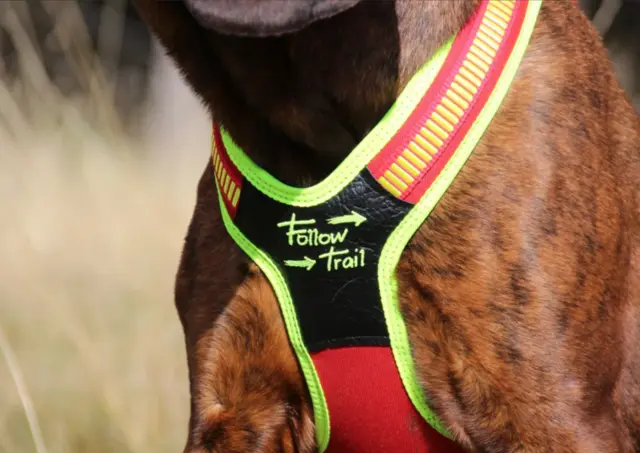 Niggeloh Sele-Follow Trail Harness S 