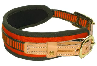 Niggeloh Halsb&#229;nd Blood-Tracking Collar